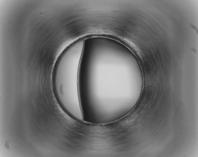 X0000091530935200708170947