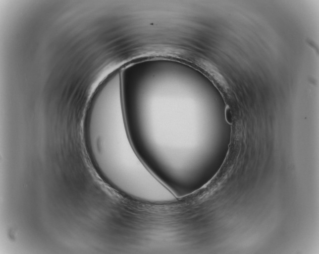 X0000091530936200708170947