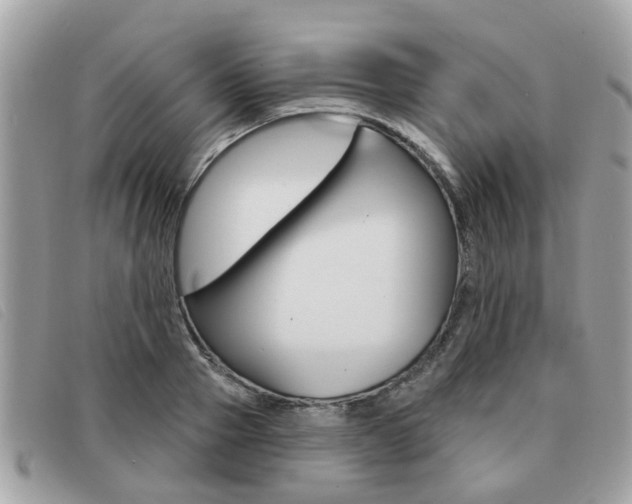 X0000091530937200708170947