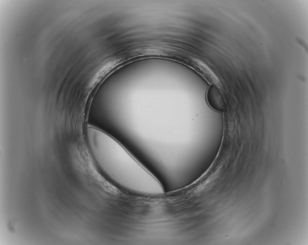 X0000091530938200708170947