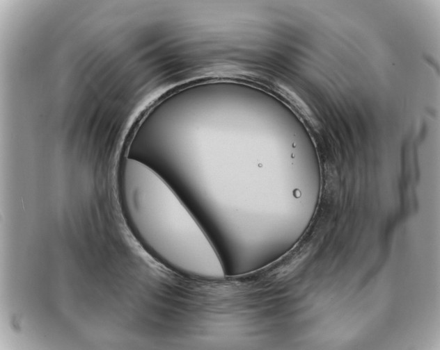X0000091530939200708170947
