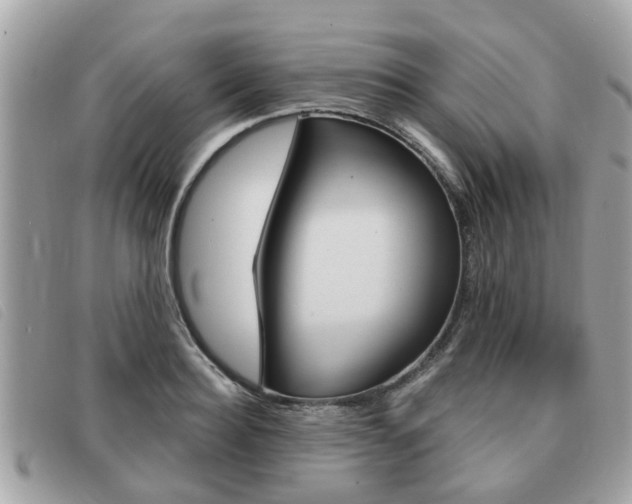 X0000091530940200708170947