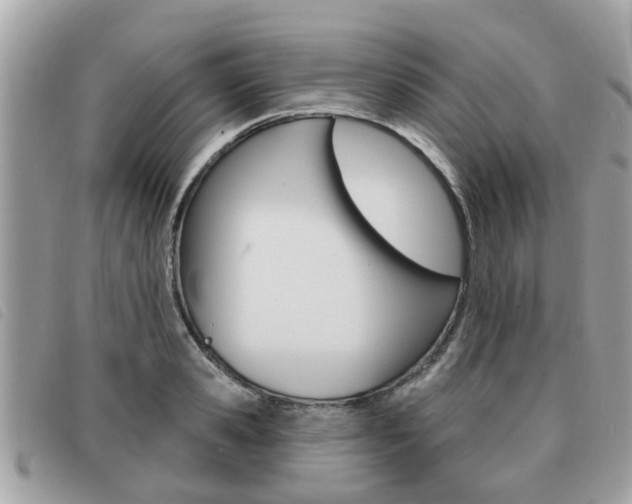 X0000091530941200708170947