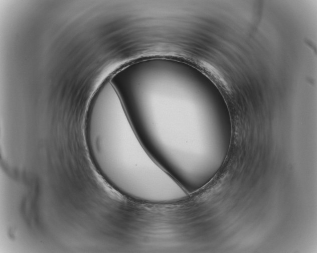 X0000091530942200708170947