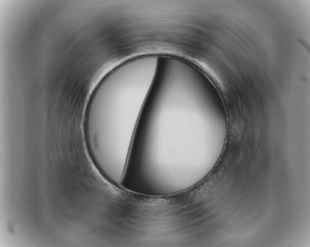 X0000091530943200708170947