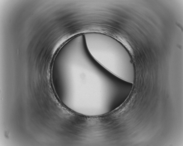 X0000091530944200708170947