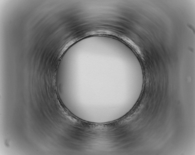 X0000091530945200708170947