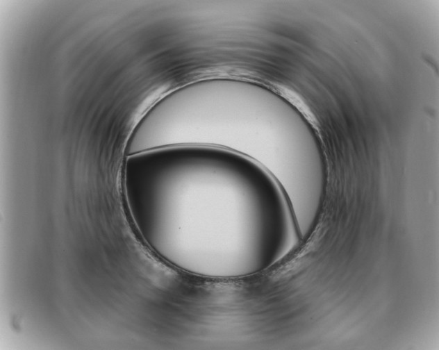 X0000091530946200708170947