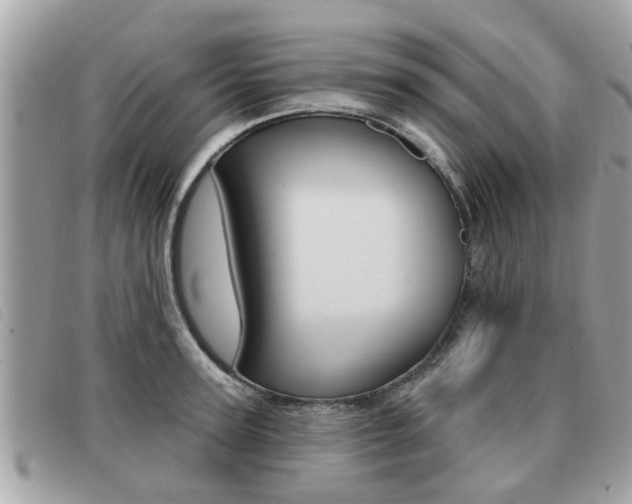 X0000091530947200708170947