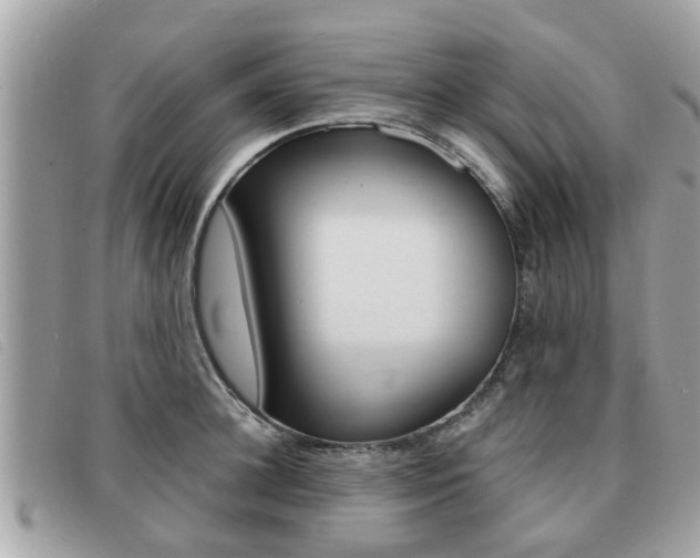X0000091530948200708170947