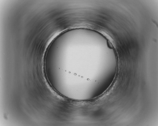 X0000091530949200708170947