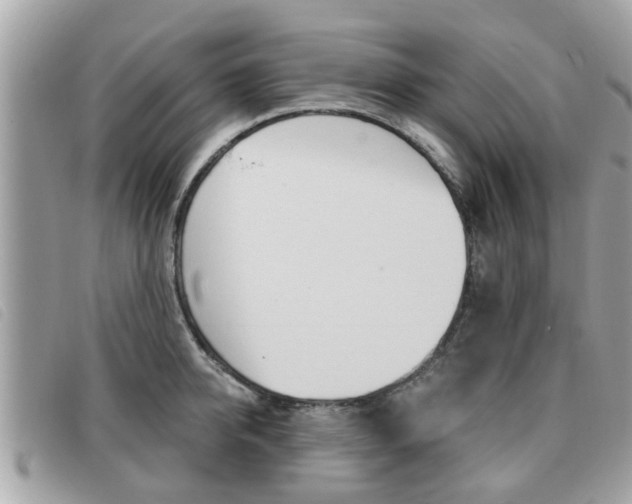 X0000091530950200708170947