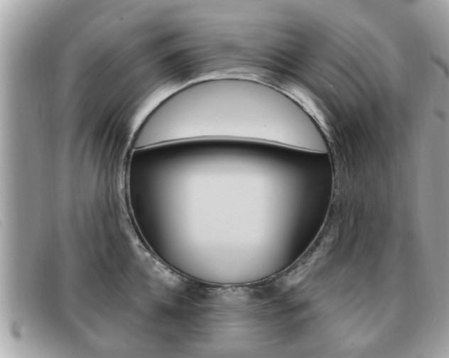 X0000091530952200708170947