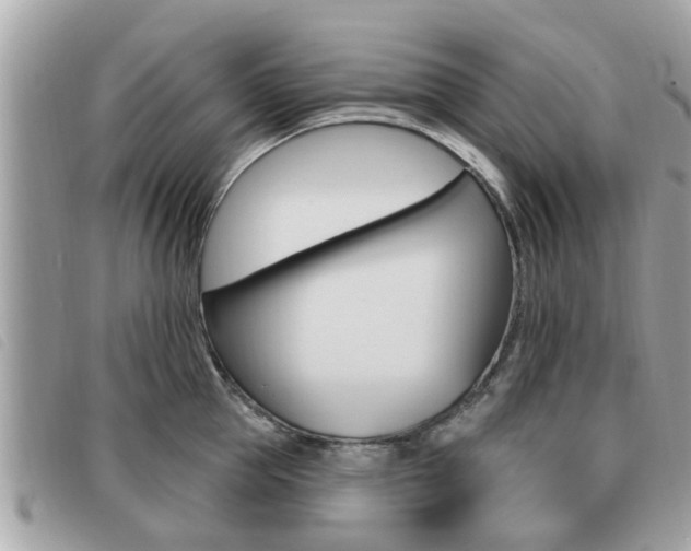 X0000091530953200708170947