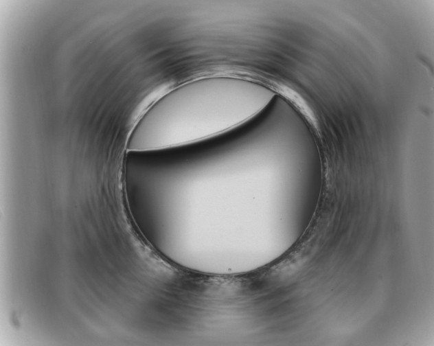 X0000091530954200708170947