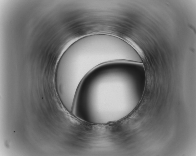 X0000091530956200708170947