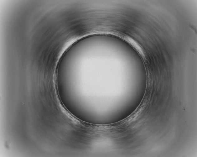 X0000091530958200708170947