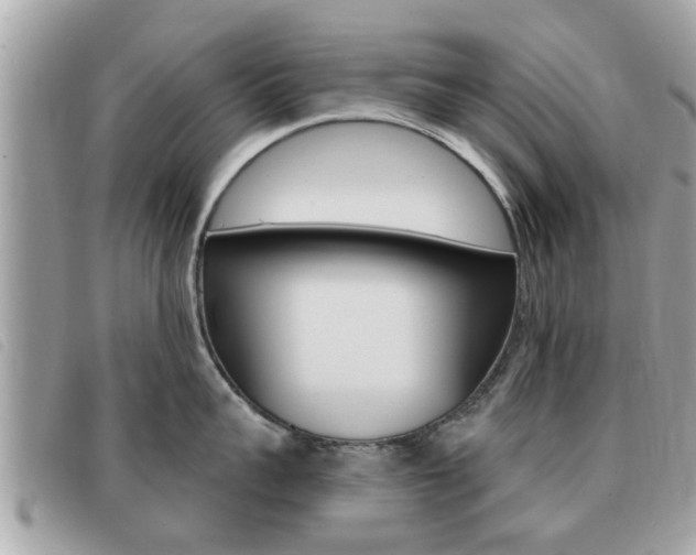 X0000091530959200708170947