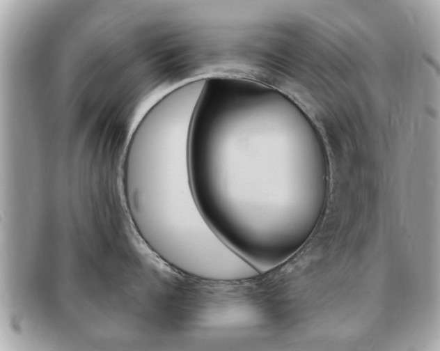 X0000091530960200708170947