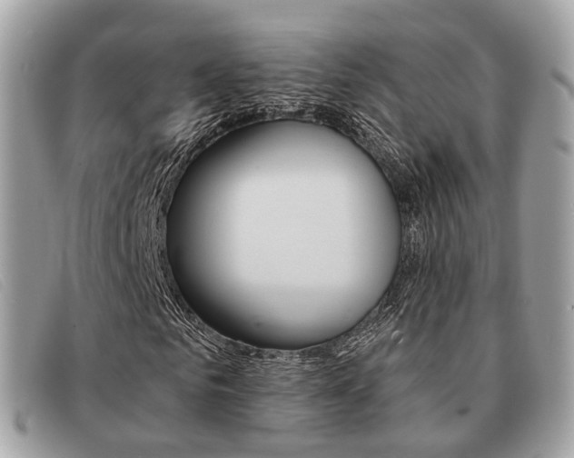 X0000091530961200708170947