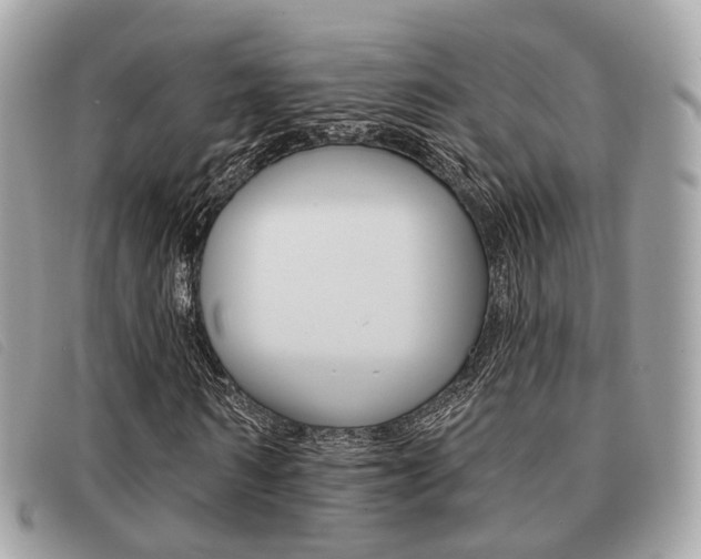 X0000091530962200708170947