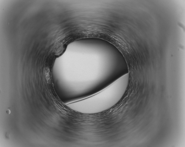X0000091530963200708170947