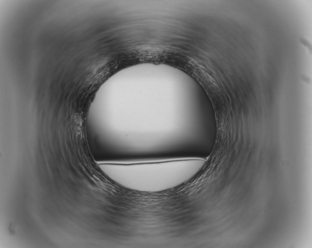 X0000091530964200708170947