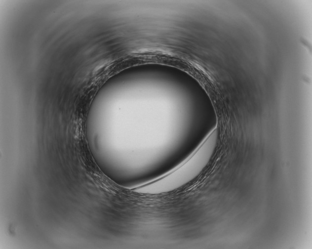 X0000091530965200708170947