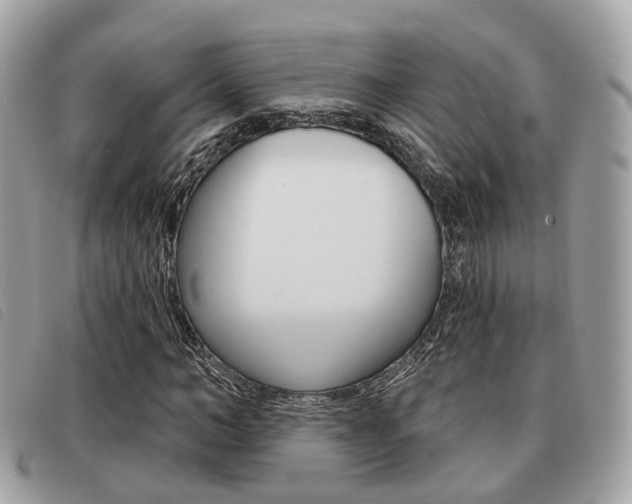X0000091530966200708170947