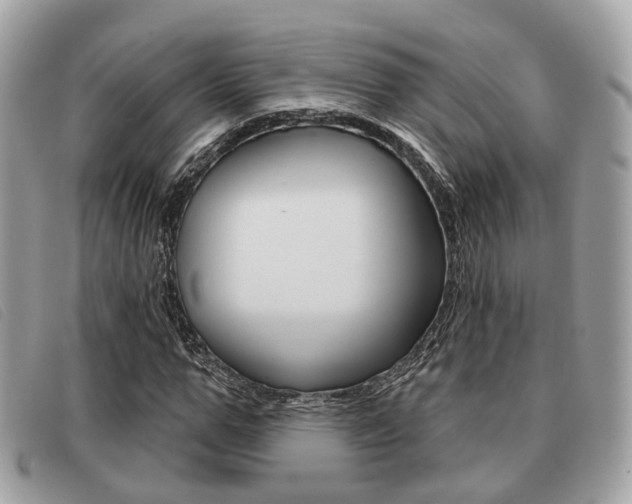 X0000091530967200708170947