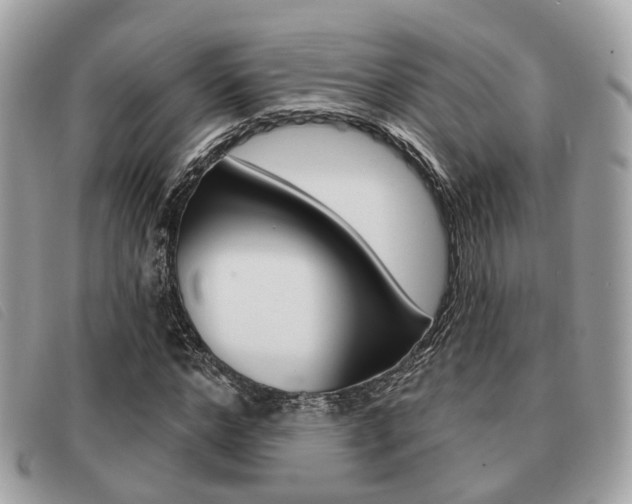 X0000091530968200708170947