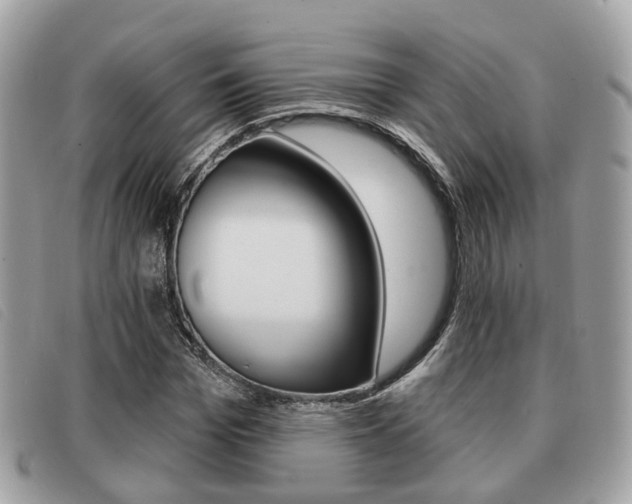 X0000091530969200708170947