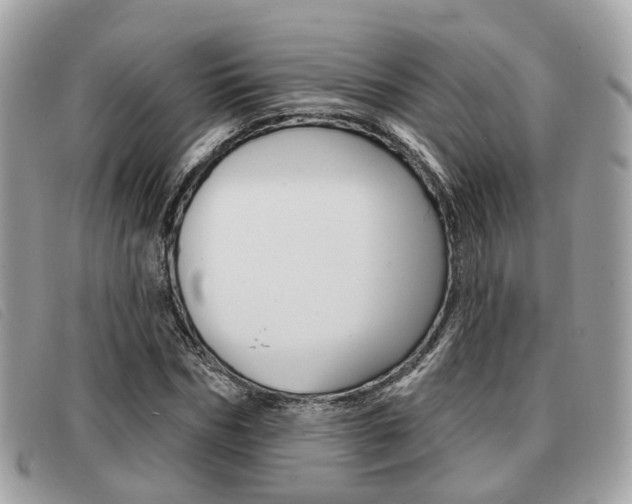 X0000091530970200708170946