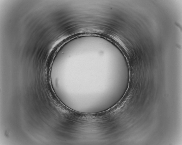 X0000091530971200708170946