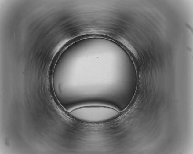 X0000091530972200708170946