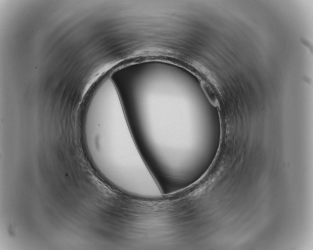 X0000091530973200708170946
