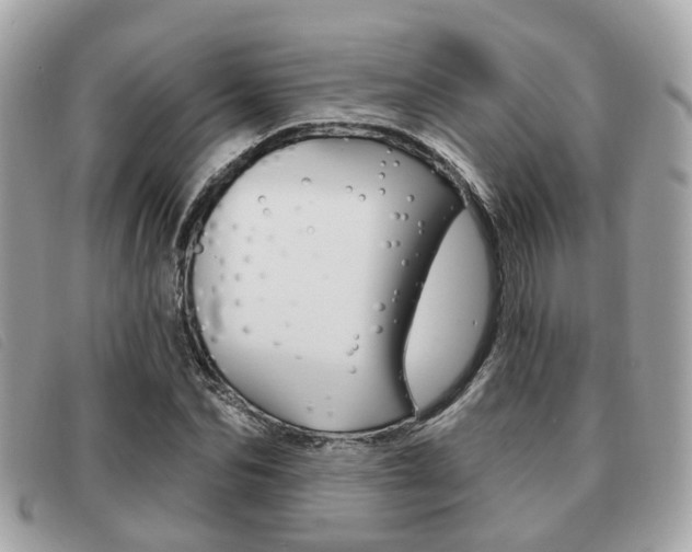 X0000091530974200708170946