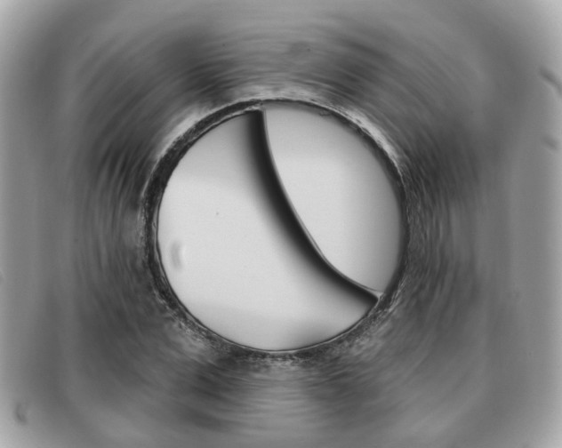 X0000091530975200708170946