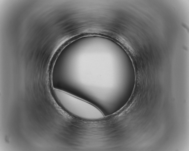 X0000091530976200708170946