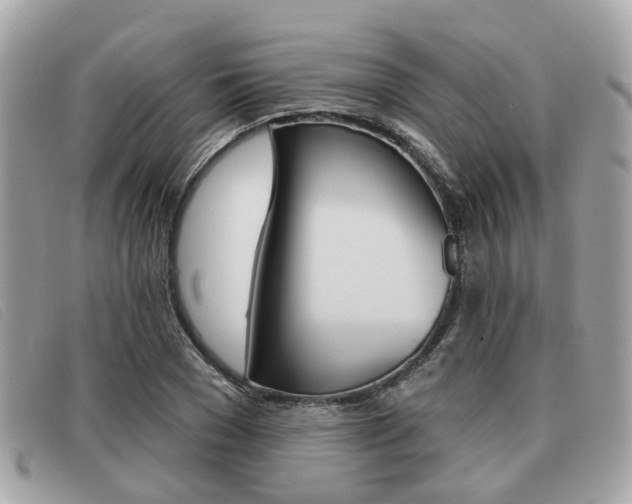 X0000091530977200708170946