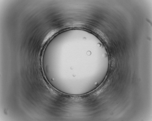 X0000091530978200708170946