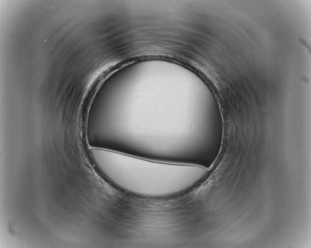 X0000091530979200708170946