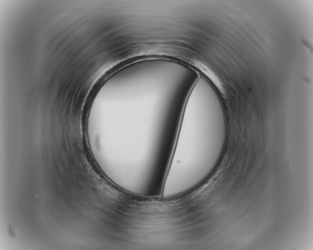 X0000091530980200708170946