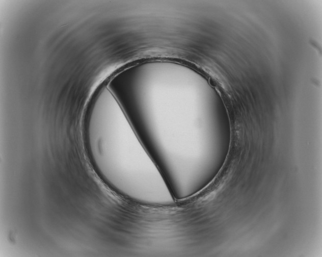 X0000091530981200708170946