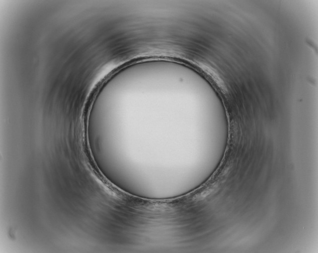 X0000091530982200708170946