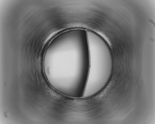 X0000091530983200708170946