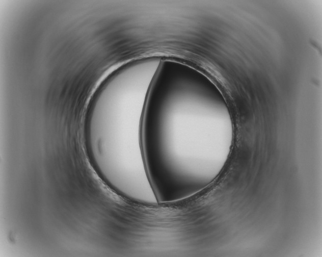 X0000091530984200708170946