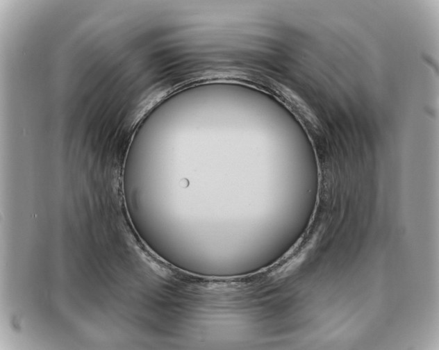 X0000091530985200708170946