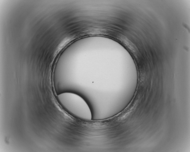 X0000091530986200708170946