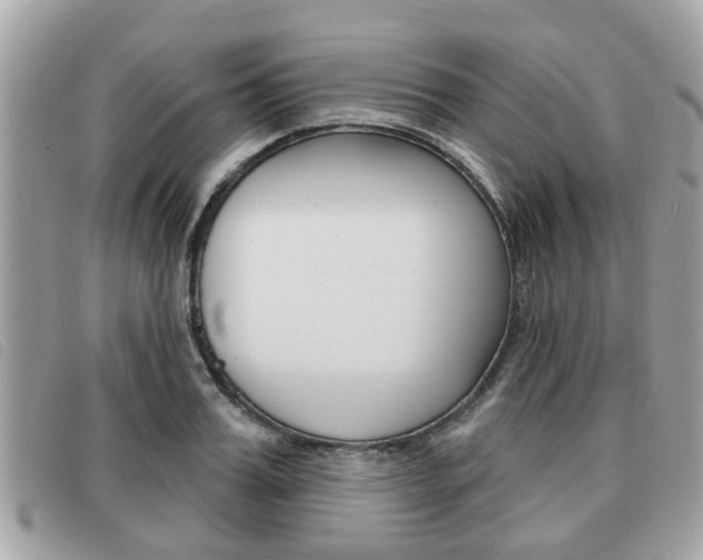 X0000091530987200708170946